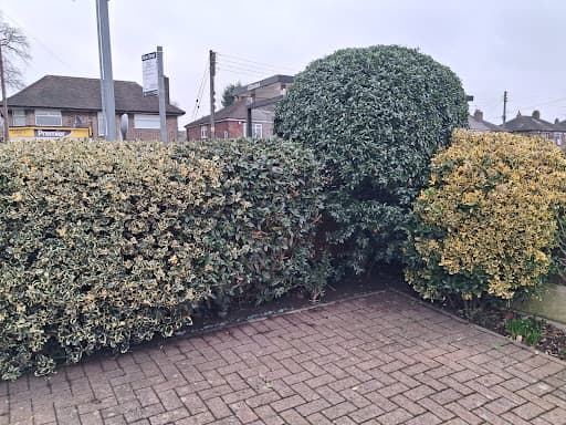 Stoke Gardening Services — Customer photo