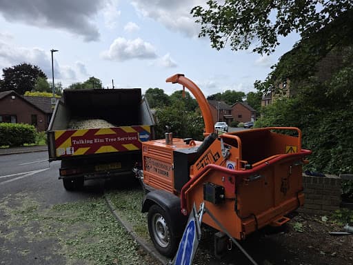 Talking Elm Tree Services — Customer photo