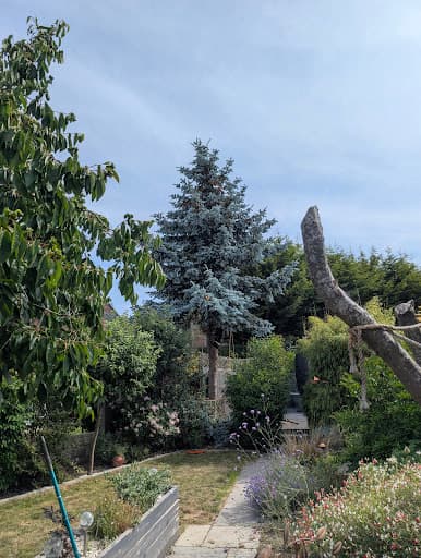 Elite Tree Services (EA) Ltd — Customer photo