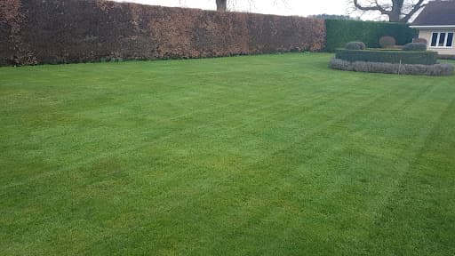 Lawn3 Reading — Customer photo