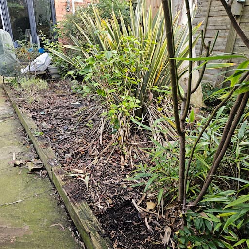 T&A Birmingham Gardeners — Customer photo