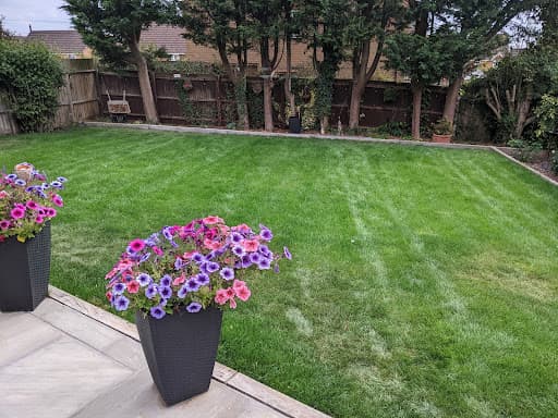All Green Lawn Treatments — Customer photo