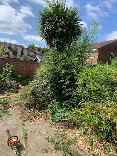 New Leaf Tree And Garden Services — Customer photo