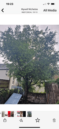 Bay Tree Surgery — Customer photo