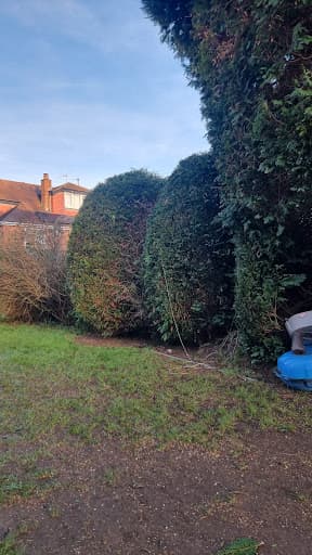 Elms Tree Services — Customer photo