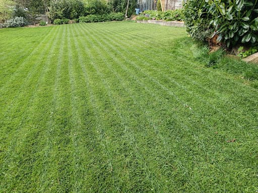 Grass Guru — Customer photo