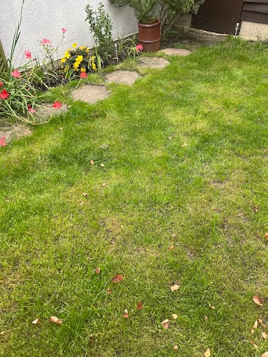 Exquisite Lawn Care — Customer photo