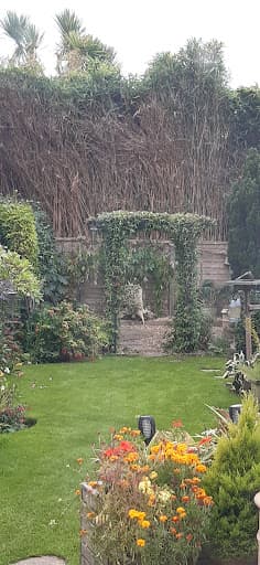 Stubbington Tree Care — Customer photo