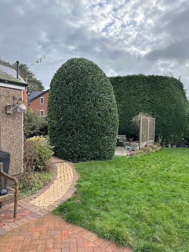 Bay Tree Surgery — Customer photo