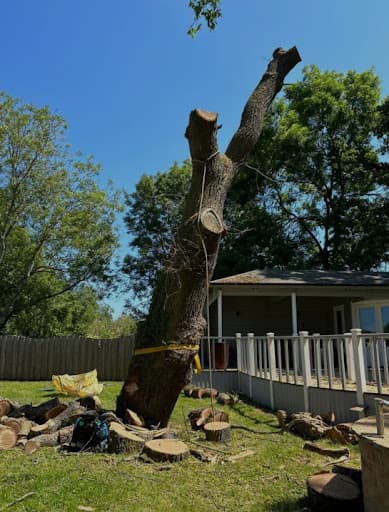 Hampshire Tree & Garden Care Ltd - Tree Surgeons Waterlooville — Customer photo