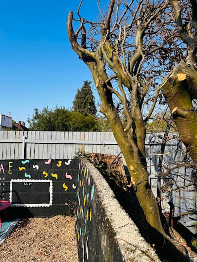 Tree Brother — Customer photo