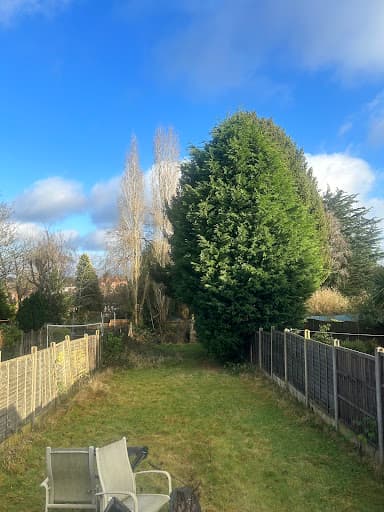 Darcy Ltd - Tree Surgery & Arboriculture — Customer photo