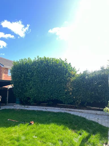 The Tree Felling Group — Customer photo