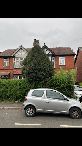 Tree Cut - Tree Surgery Manchester — Customer photo