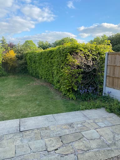 Lucas gardening LTD — Customer photo
