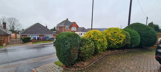 First Choice Tree Surgeons — Customer photo