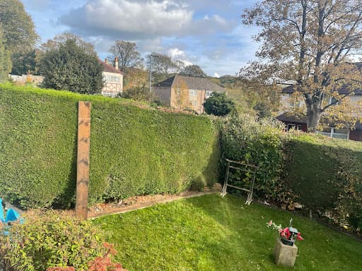 Oakwood Tree Services — Customer photo
