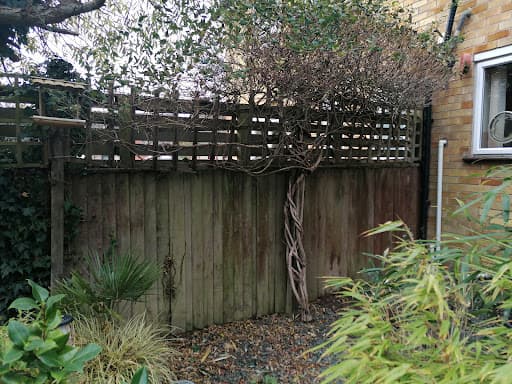 Muddy Spades Landscape Gardening Oxford — Customer photo