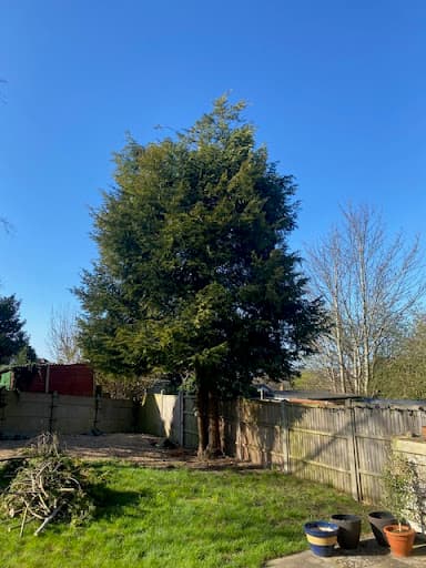 Emerald Elm Tree Surgery LTD — Customer photo