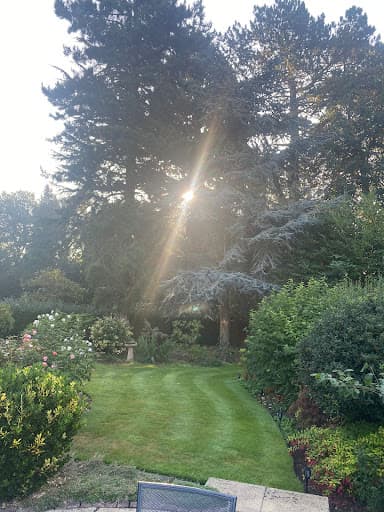 Scrambledlegs Lawn Mowing, Hedge Cutting, Pressure Washing, Mickleover Littleover areas — Customer photo