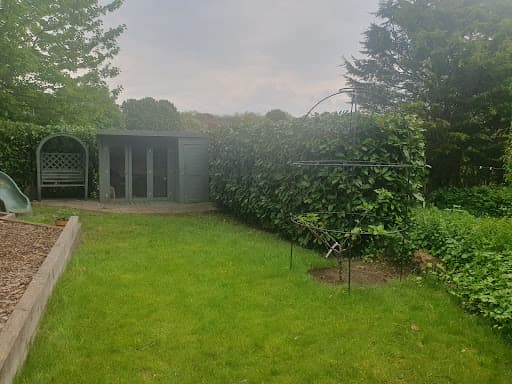 Tree Cut - Tree Surgery Manchester — Customer photo