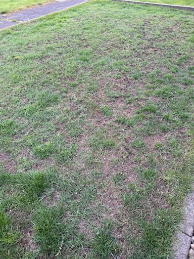 Greensleeves Lawn Care East Riding — Customer photo