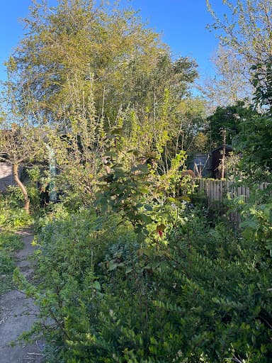 Cambridge Garden Maintenance — Customer photo