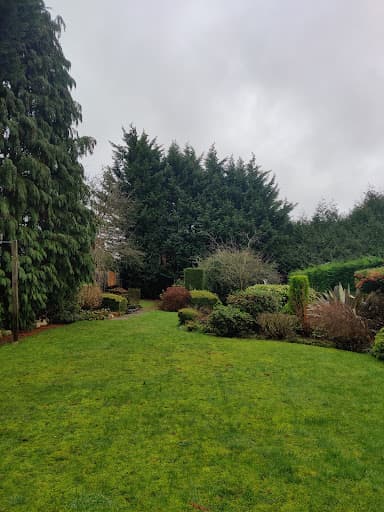 A&T Tree Services — Customer photo