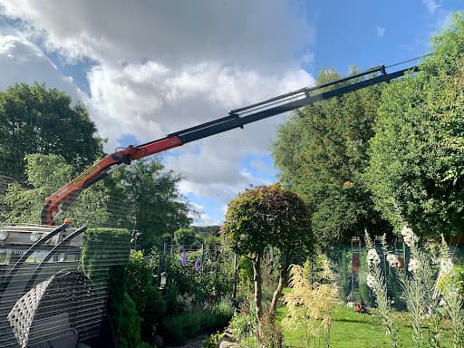 Arborist Tree Care Ltd — Customer photo