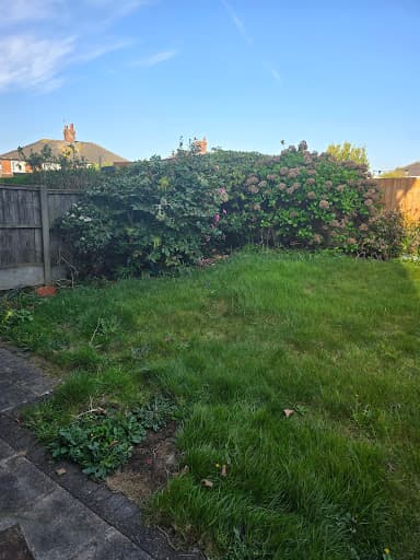 Liverpool Gardening Services Ltd — Customer photo