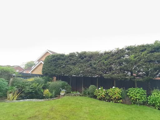 Cardiff Tree Surgery — Customer photo