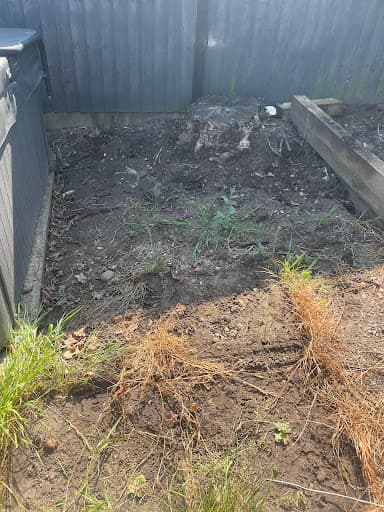DR STUMP LTD — Customer photo