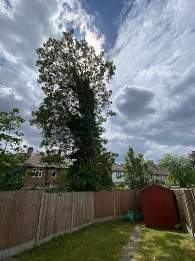 Treehab - Arboricultural Contractors Ltd — Customer photo