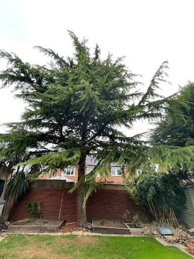 Karl Fischer Garden Grounds & Tree Maintenance Limited — Customer photo