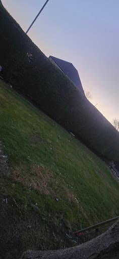 Nomi Tree & Garden Services. — Customer photo