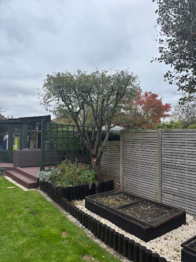 SD Tree Care — Customer photo
