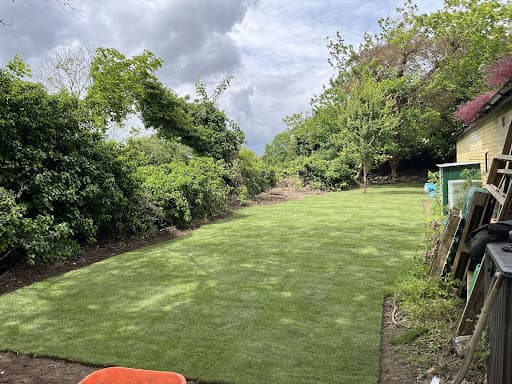 Elmwood Tree Services — Customer photo