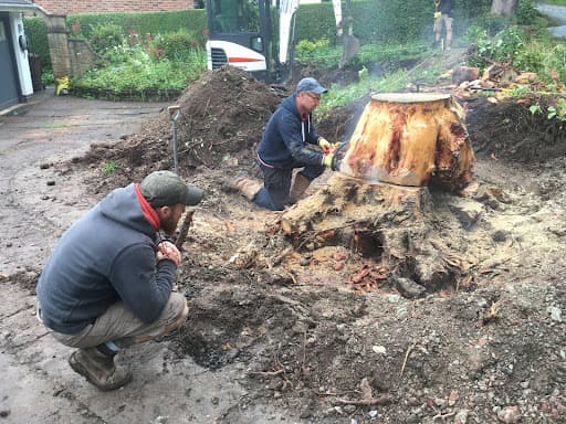 Abbott Garden Services Ltd — Customer photo