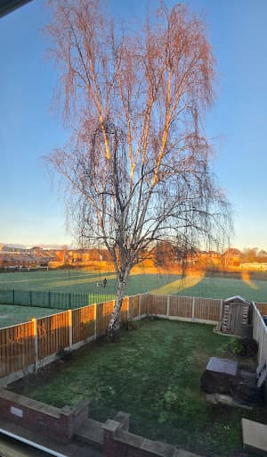 Stara Tree Contractors — Customer photo