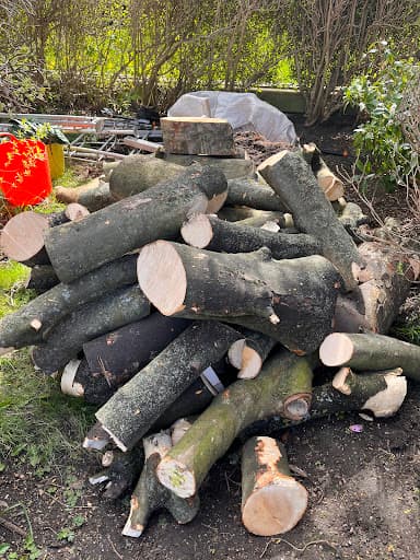 Alba Tree Surgeons — Customer photo