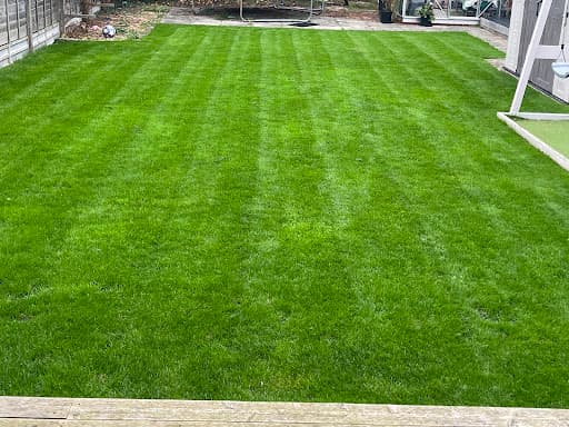 Exquisite Lawn Care — Customer photo