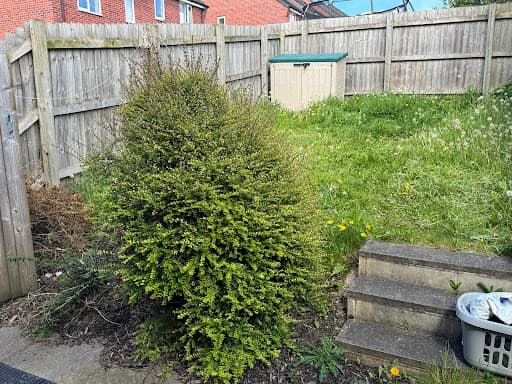 LJ's landscaping — Customer photo