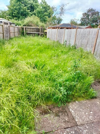 Harmony Garden Solution — Customer photo
