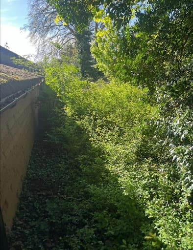 Elmwood Tree Services — Customer photo