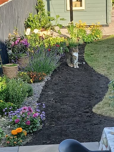 JDS Gardening Services — Customer photo