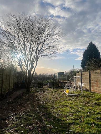 Elms Tree Services — Customer photo