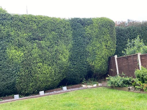 Elms Tree Services — Customer photo
