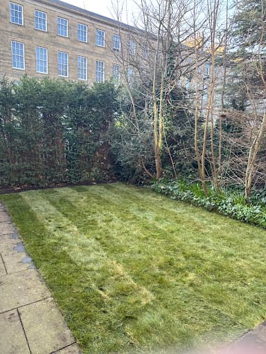 M.Levy Garden Services — Customer photo
