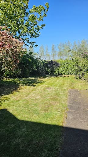 Scrambledlegs Lawn Mowing, Hedge Cutting, Pressure Washing, Mickleover Littleover areas — Customer photo