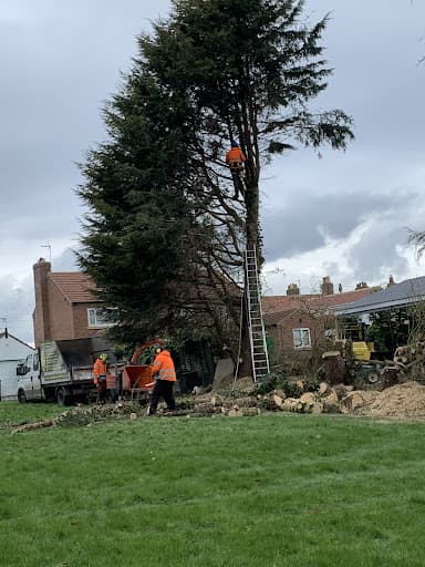 J M Tree Services — Customer photo